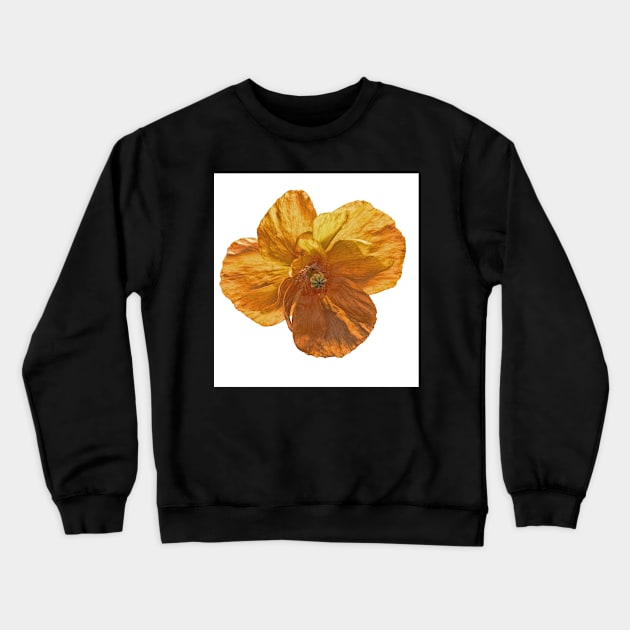 Poppy flower head. Crewneck Sweatshirt by avrilharris